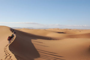 Sahara Echappee Verte Maroc