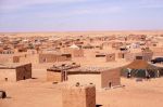 Tragédie à Setti Fatma : Un touriste marocain tué par une pierre lancée par un singe
