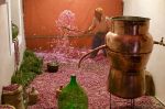 Nomad #69 : Immersion au coeur du musée du Parfum à Marrakech