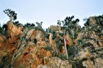 Tétouan : Quatre avions Canadair pour maîtriser un feu de forêt